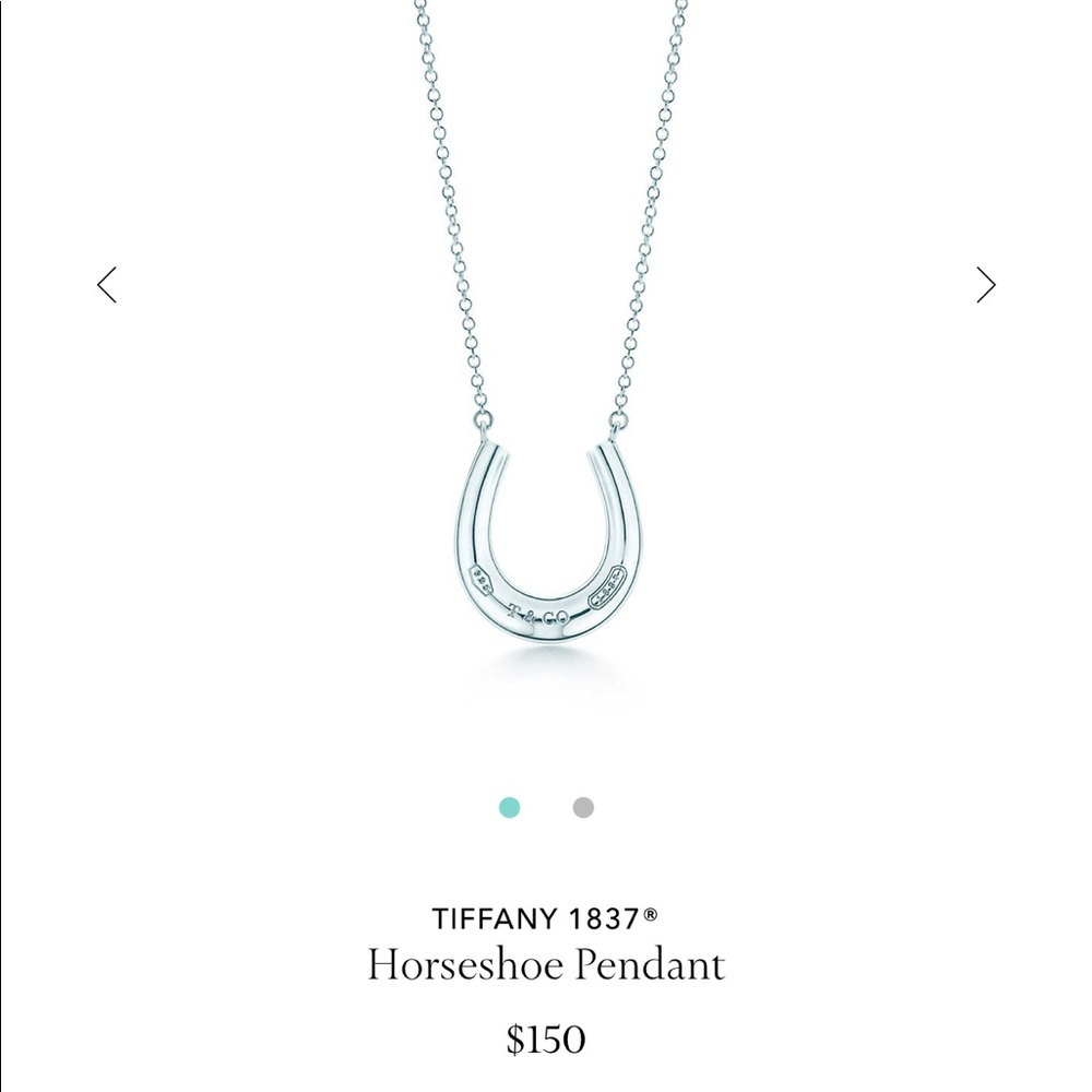 New Tiffany & Co. horseshoe silver necklace